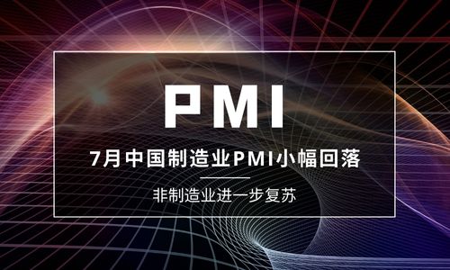 7月中國製造業(ye) PMI小幅回落至49
